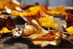 10 Random Motivational Quotations #6