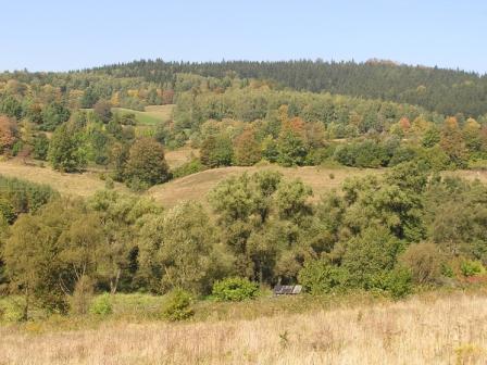 Procrastination Quotes