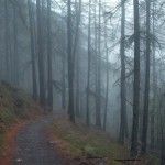 What makes you come alive? What makes you come alive?