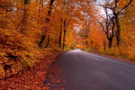 circumstances quotes