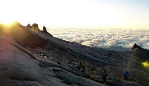 John Muir Quote